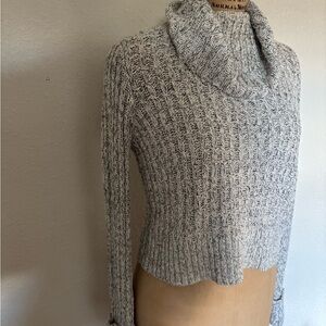 Free People sweater turtle neck